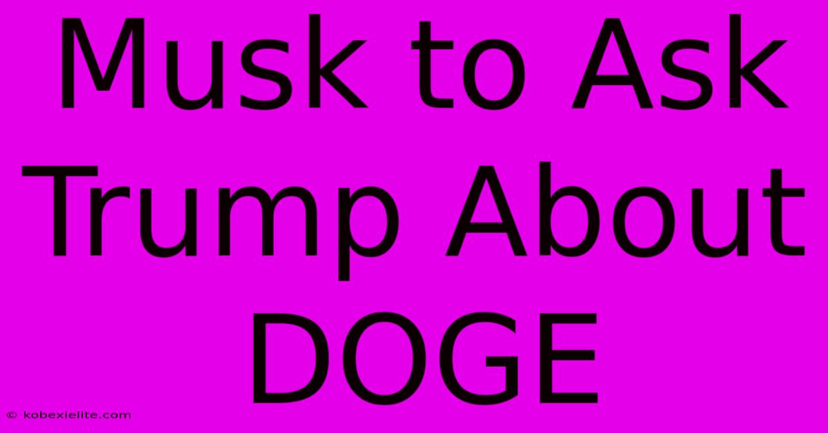 Musk To Ask Trump About DOGE