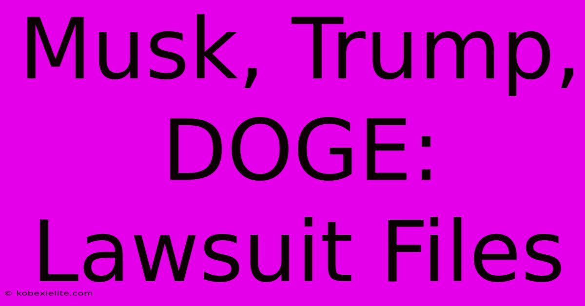 Musk, Trump, DOGE: Lawsuit Files