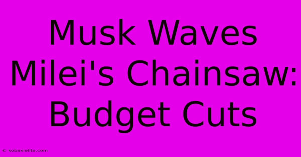 Musk Waves Milei's Chainsaw: Budget Cuts