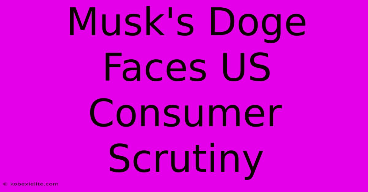 Musk's Doge Faces US Consumer Scrutiny