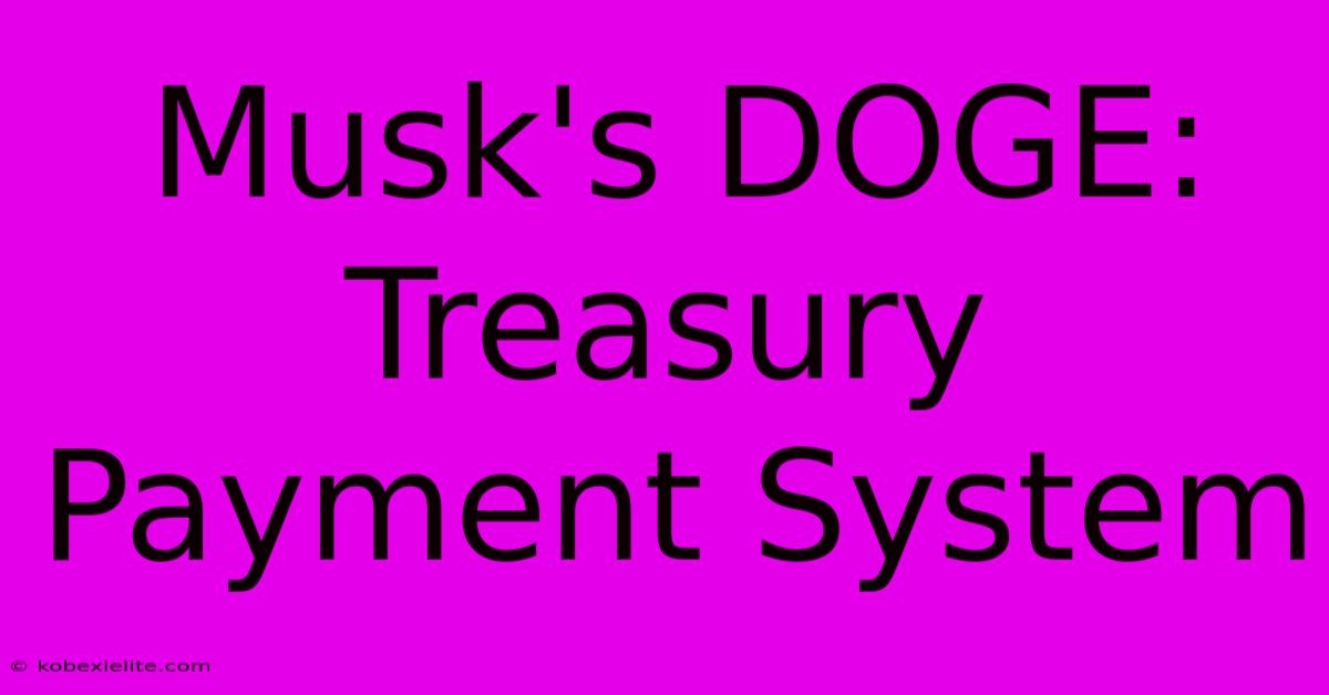 Musk's DOGE: Treasury Payment System