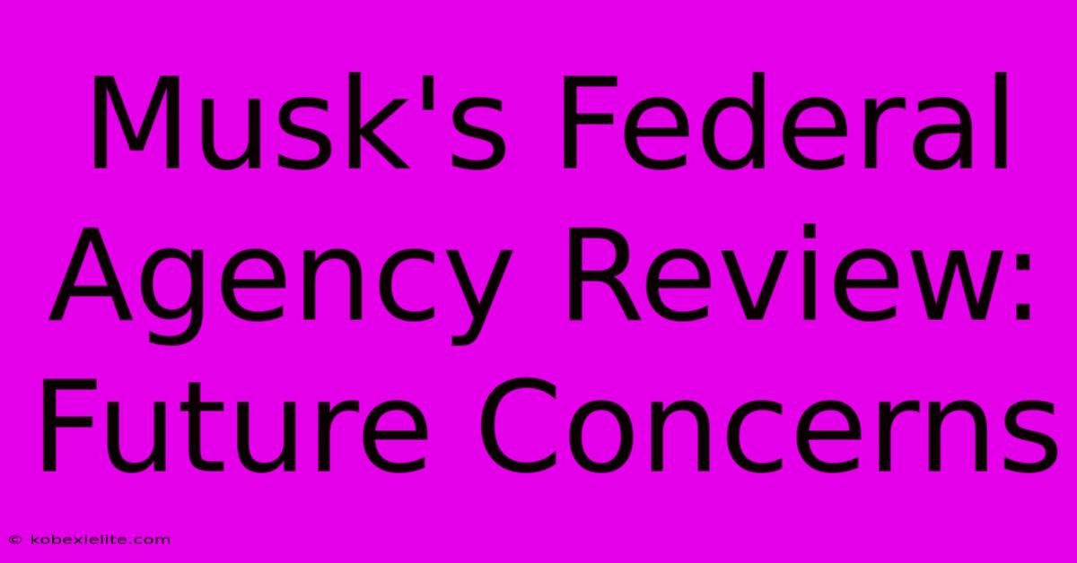 Musk's Federal Agency Review: Future Concerns