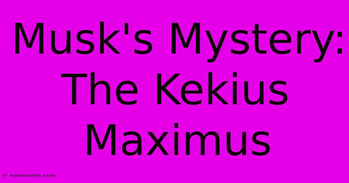 Musk's Mystery: The Kekius Maximus