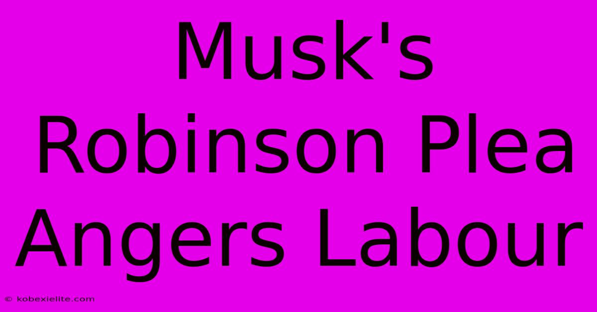 Musk's Robinson Plea Angers Labour