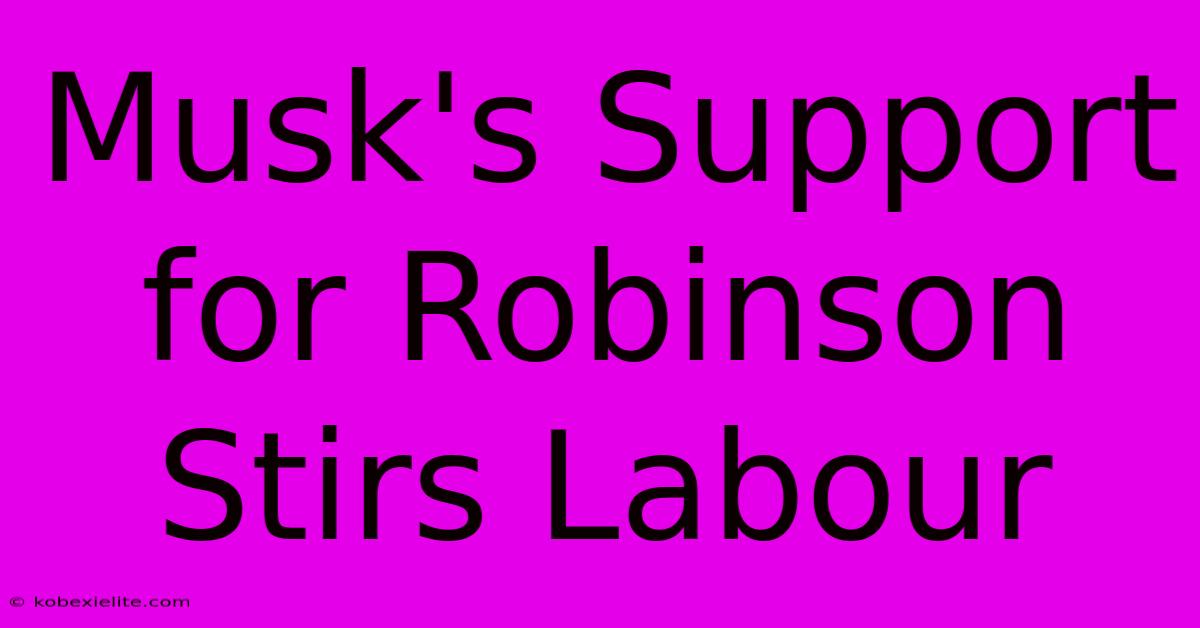 Musk's Support For Robinson Stirs Labour