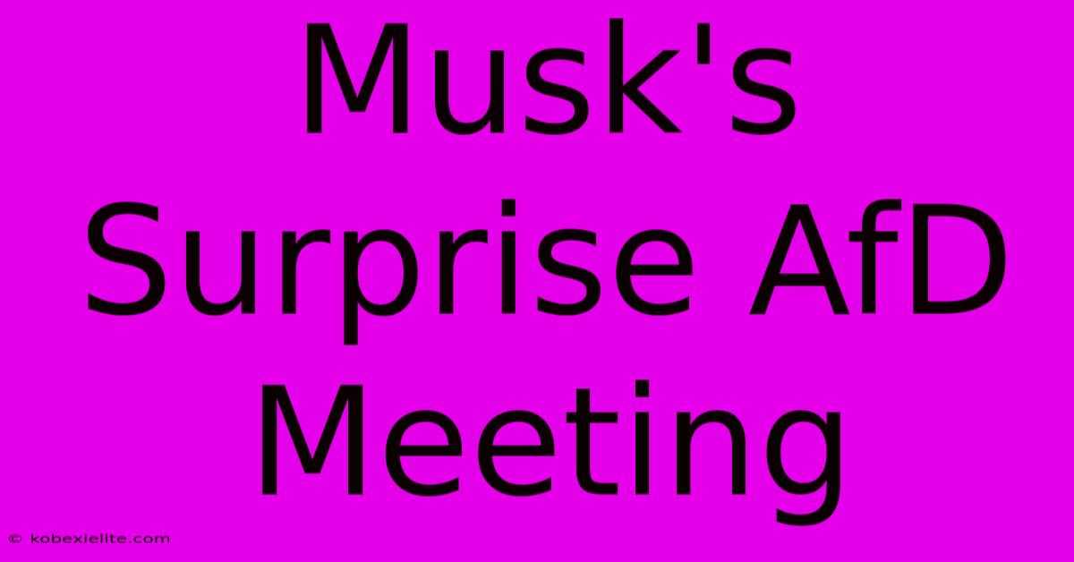 Musk's Surprise AfD Meeting