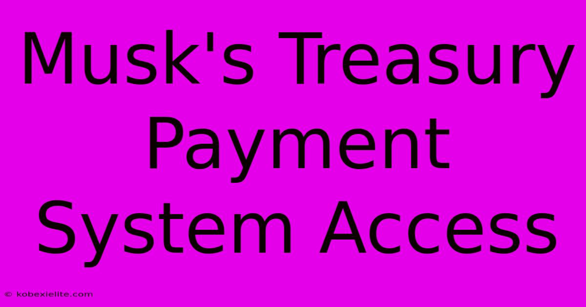 Musk's Treasury Payment System Access