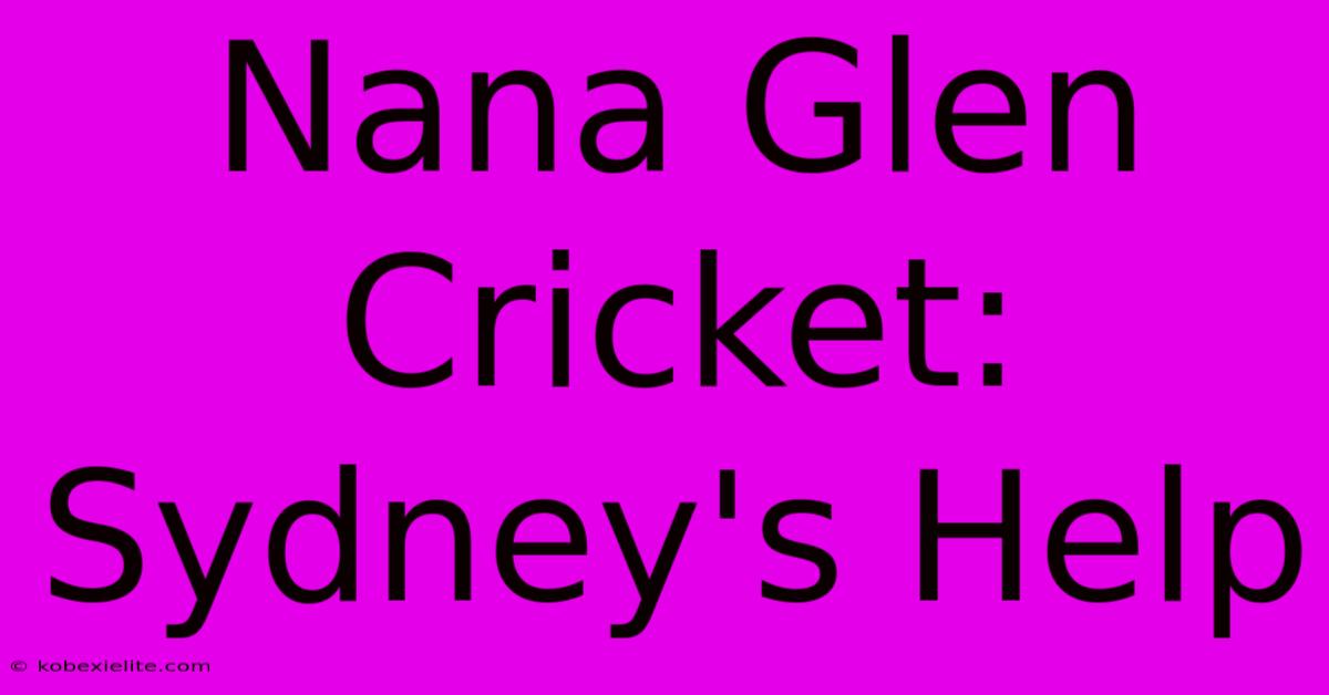 Nana Glen Cricket: Sydney's Help