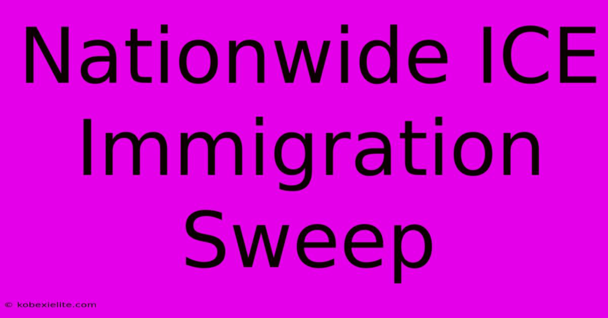 Nationwide ICE Immigration Sweep