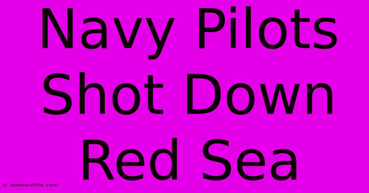 Navy Pilots Shot Down Red Sea