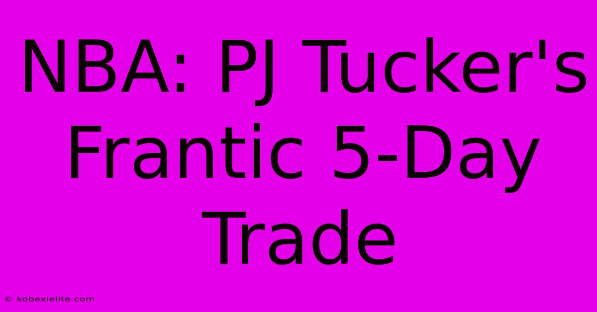 NBA: PJ Tucker's Frantic 5-Day Trade