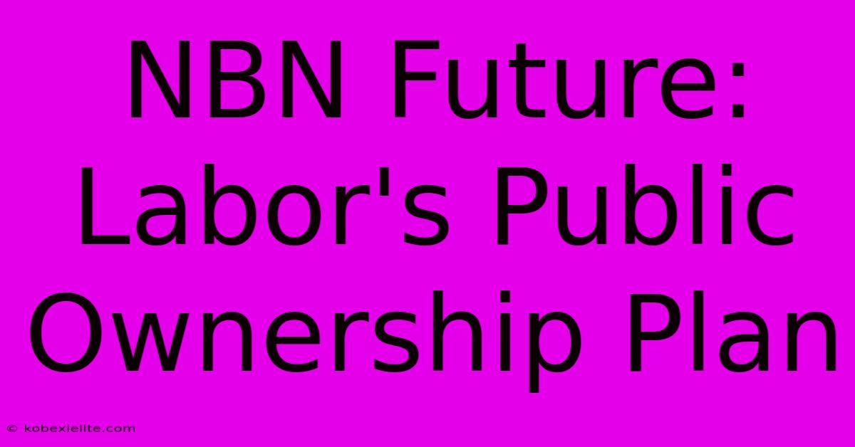 NBN Future: Labor's Public Ownership Plan