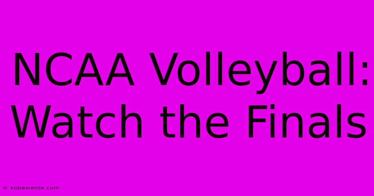 NCAA Volleyball: Watch The Finals