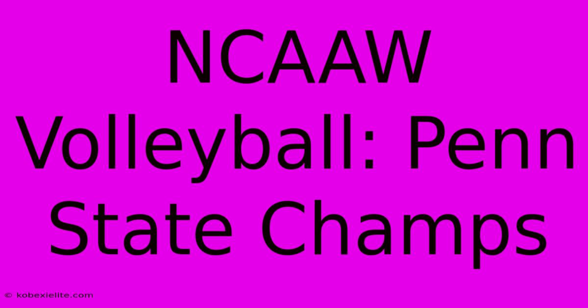 NCAAW Volleyball: Penn State Champs