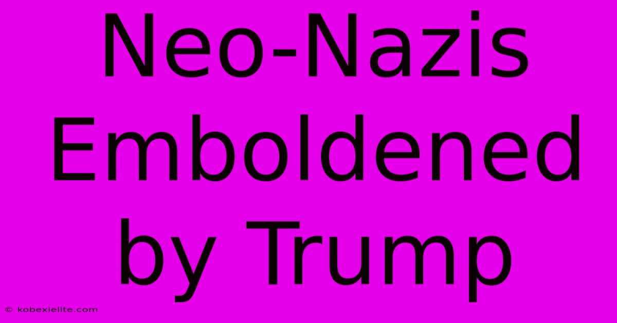 Neo-Nazis Emboldened By Trump