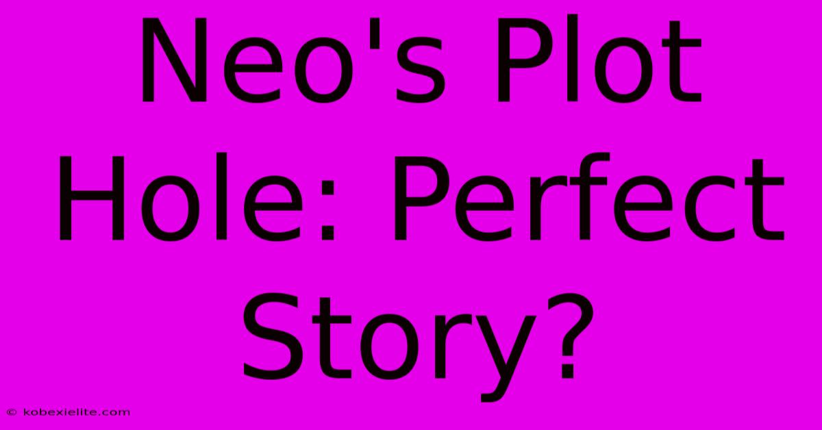 Neo's Plot Hole: Perfect Story?