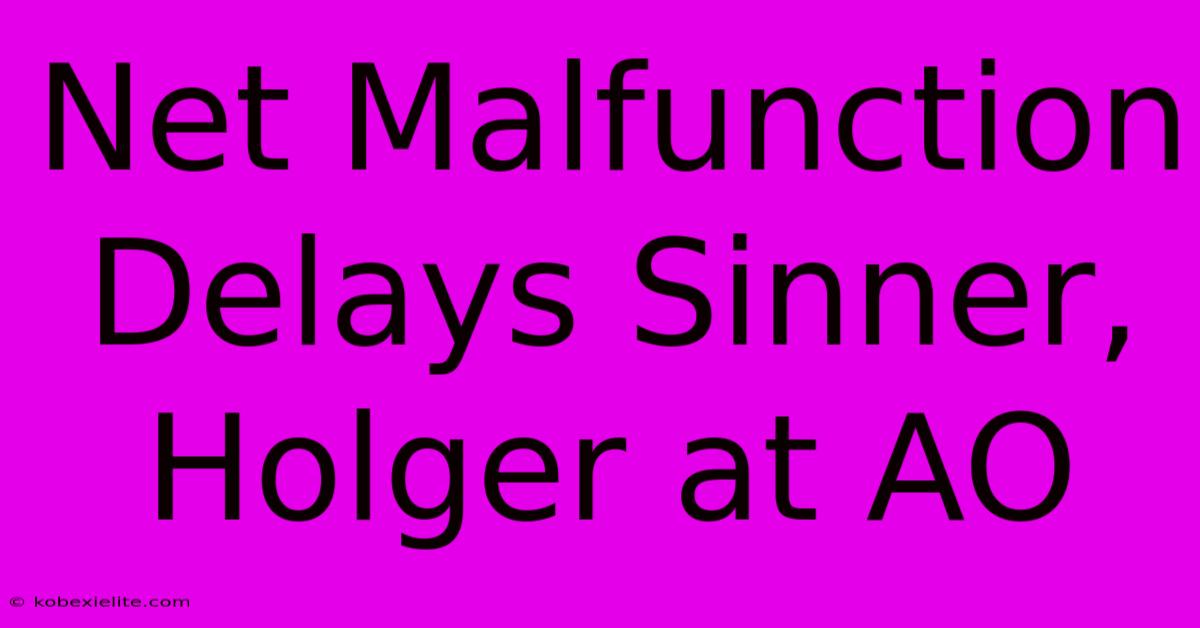 Net Malfunction Delays Sinner, Holger At AO