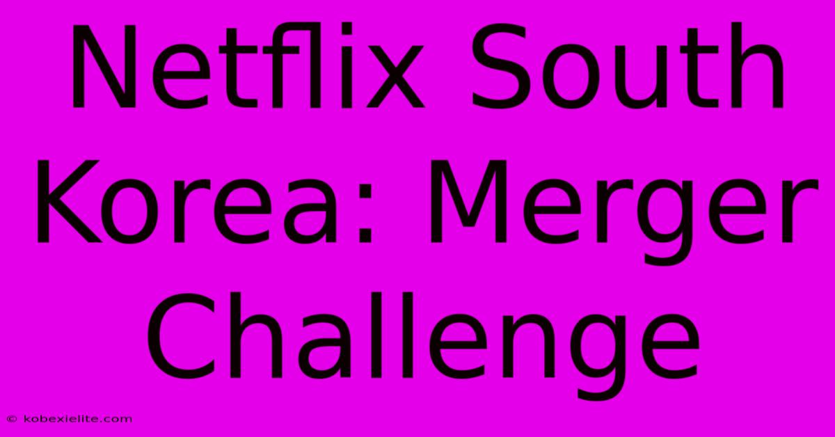 Netflix South Korea: Merger Challenge