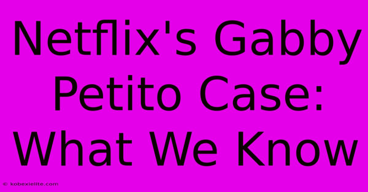 Netflix's Gabby Petito Case: What We Know