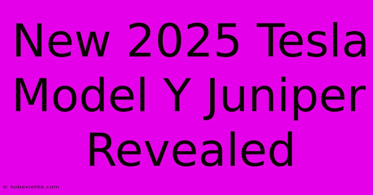 New 2025 Tesla Model Y Juniper Revealed