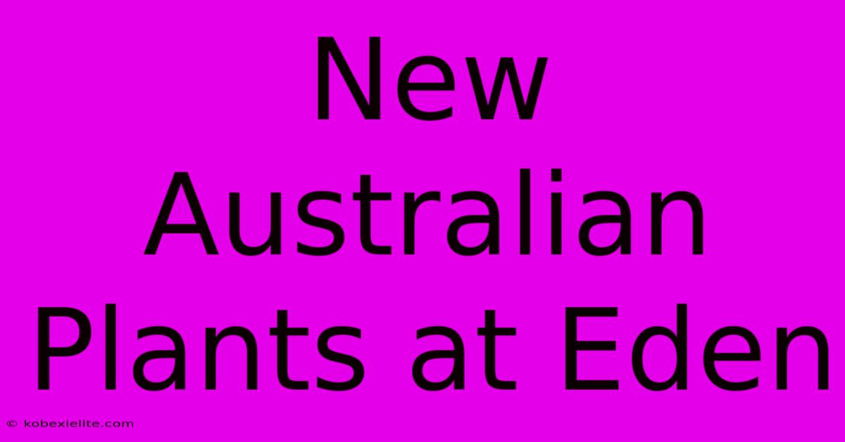 New Australian Plants At Eden