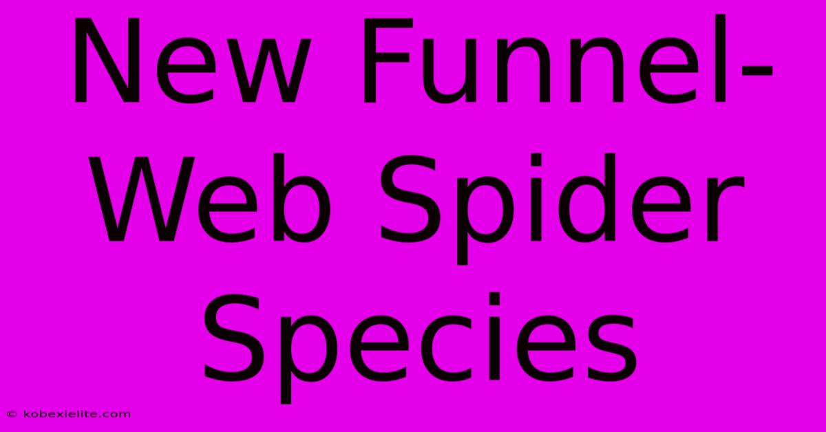 New Funnel-Web Spider Species