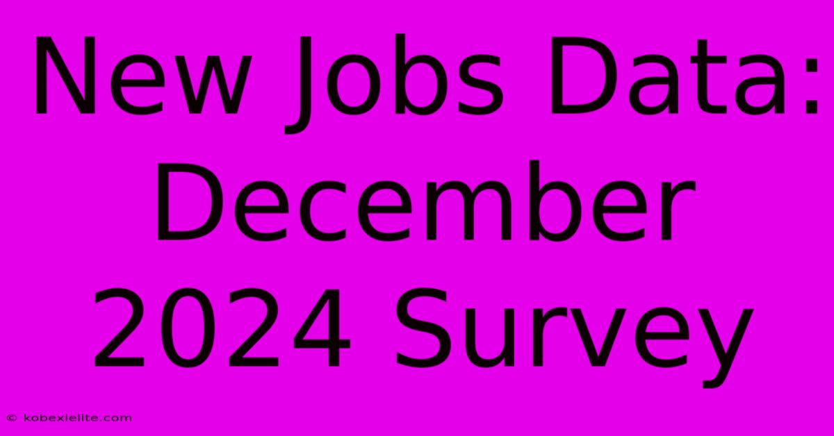 New Jobs Data: December 2024 Survey