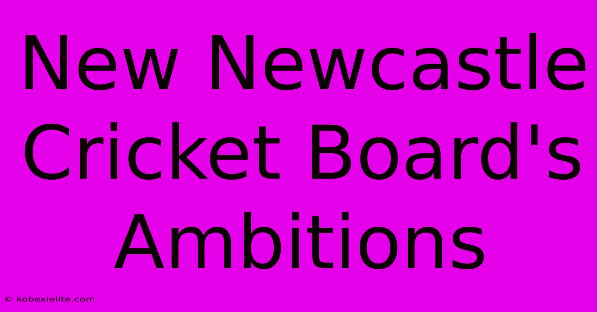 New Newcastle Cricket Board's Ambitions