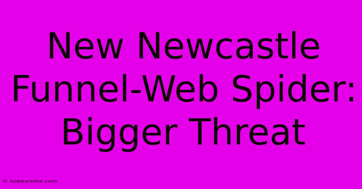 New Newcastle Funnel-Web Spider: Bigger Threat