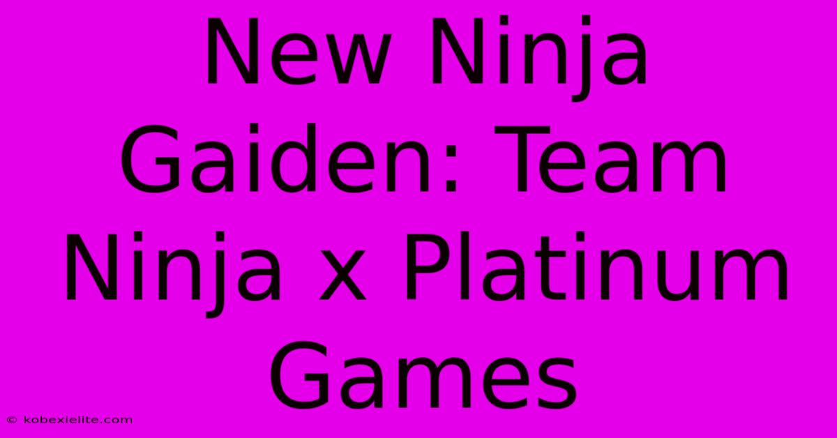 New Ninja Gaiden: Team Ninja X Platinum Games