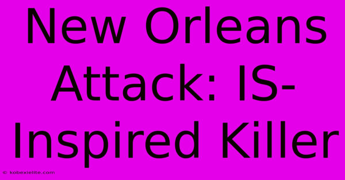 New Orleans Attack: IS-Inspired Killer