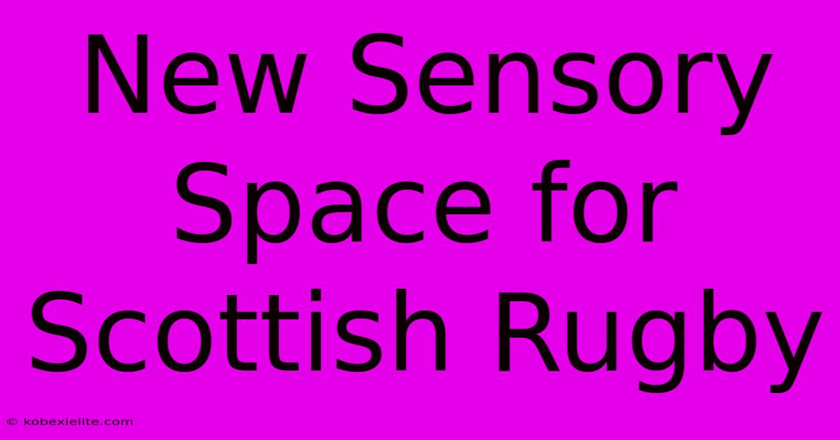 New Sensory Space For Scottish Rugby