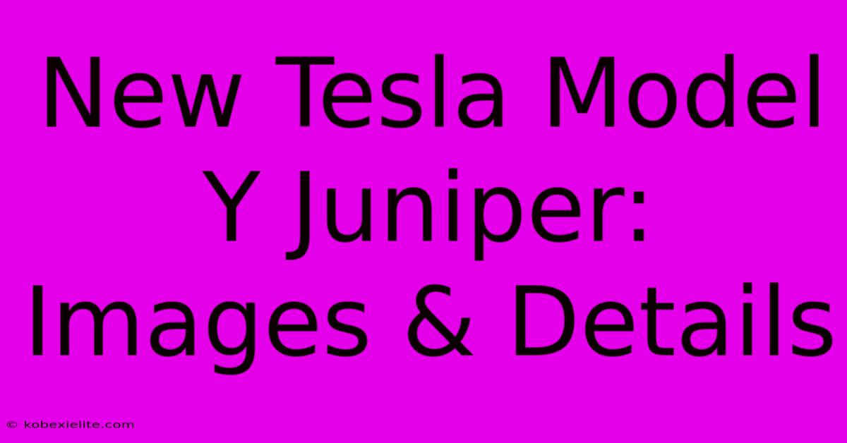 New Tesla Model Y Juniper: Images & Details