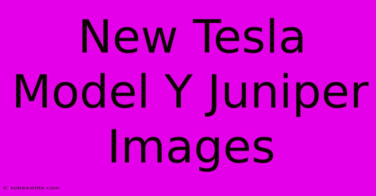 New Tesla Model Y Juniper Images