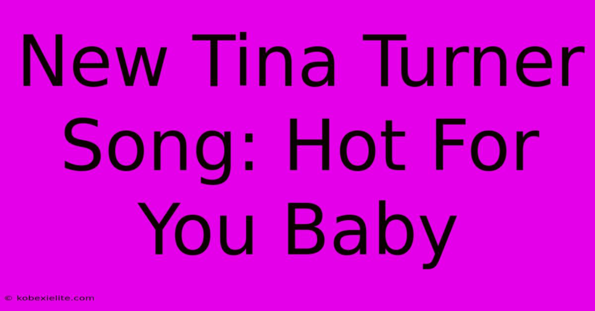 New Tina Turner Song: Hot For You Baby