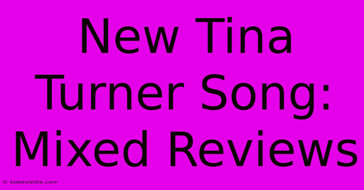 New Tina Turner Song: Mixed Reviews