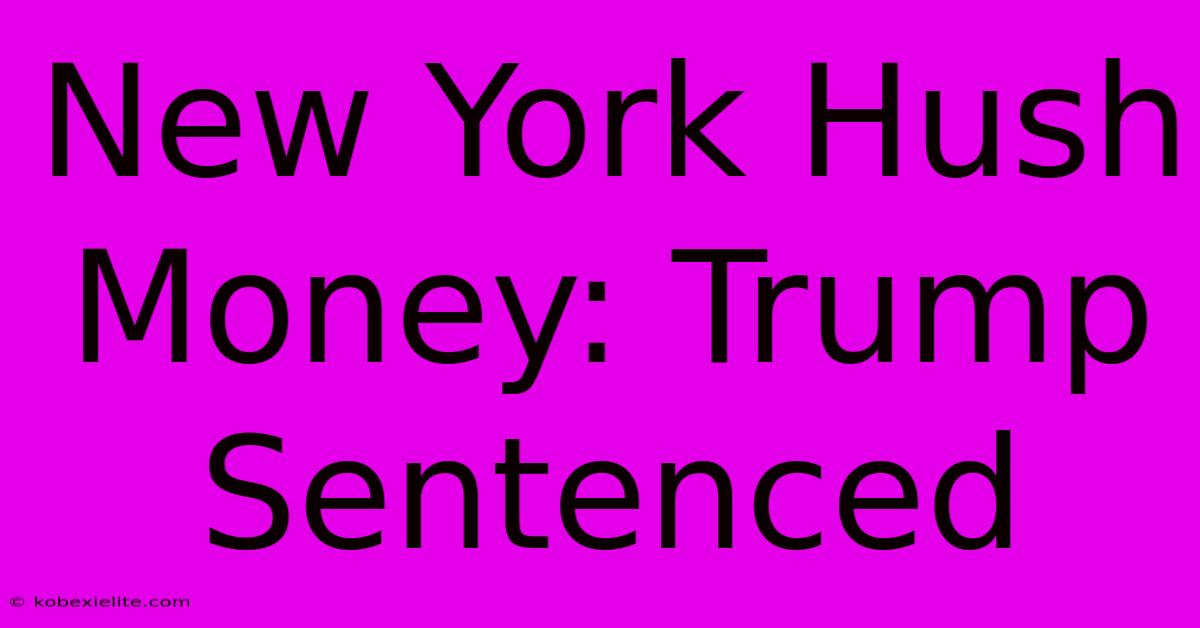 New York Hush Money: Trump Sentenced