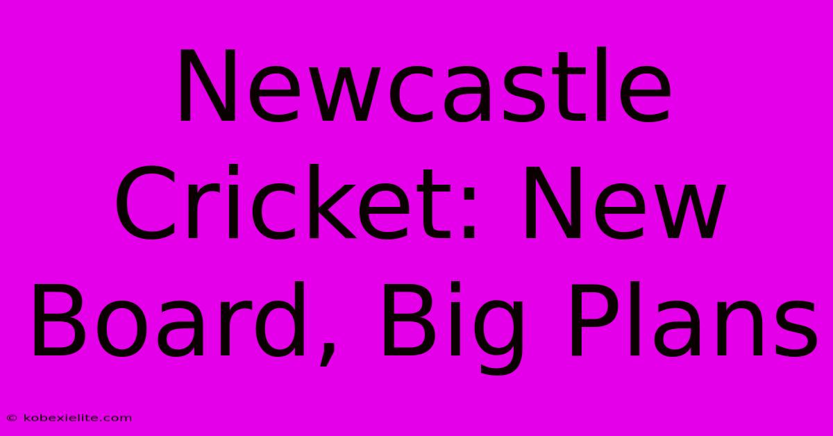 Newcastle Cricket: New Board, Big Plans