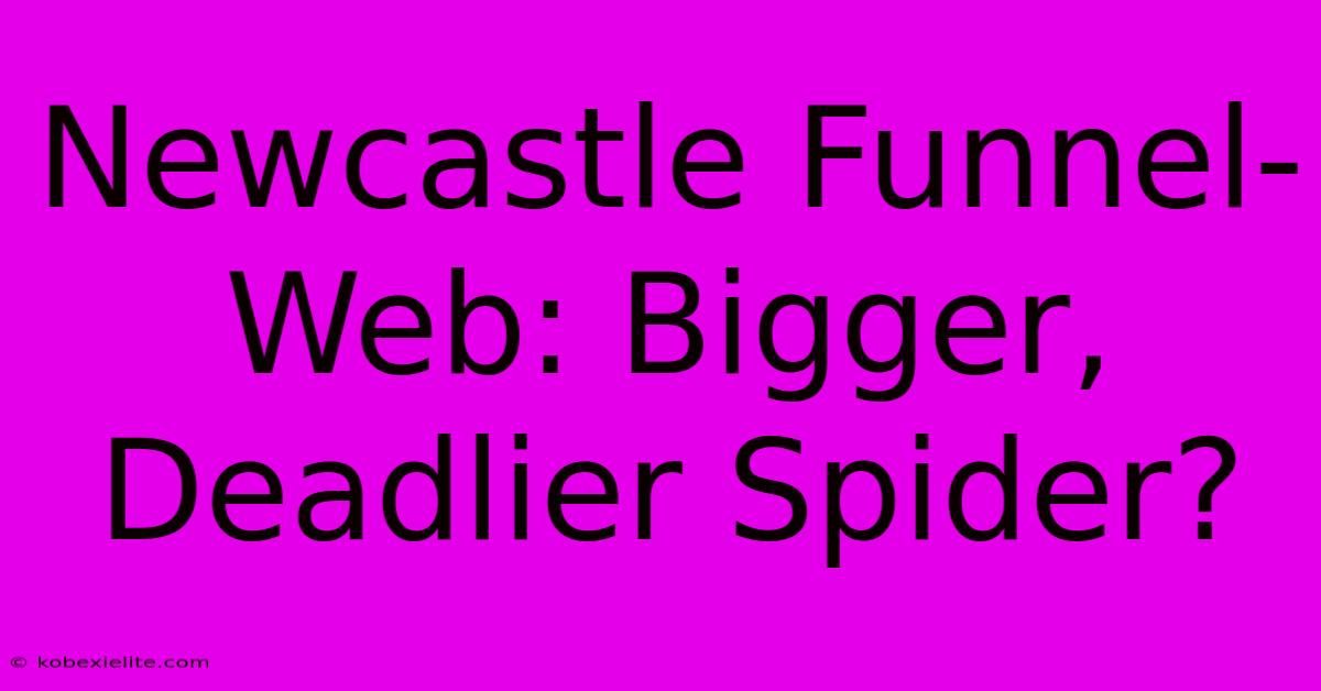 Newcastle Funnel-Web: Bigger, Deadlier Spider?