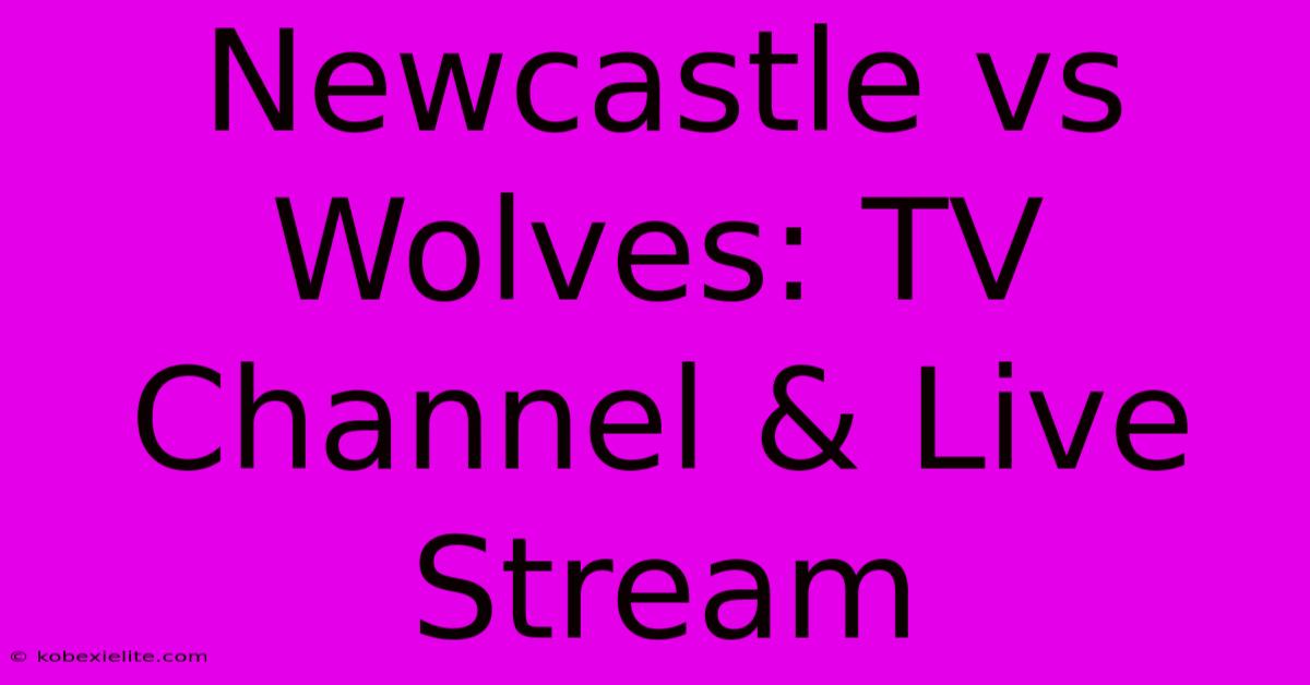 Newcastle Vs Wolves: TV Channel & Live Stream