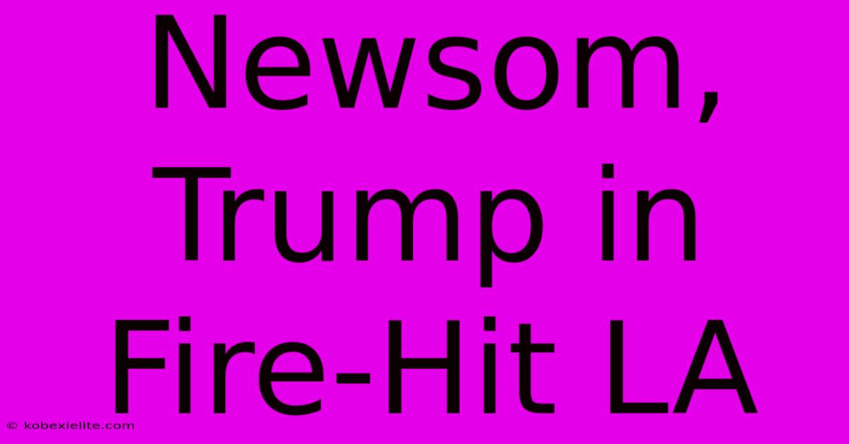 Newsom, Trump In Fire-Hit LA