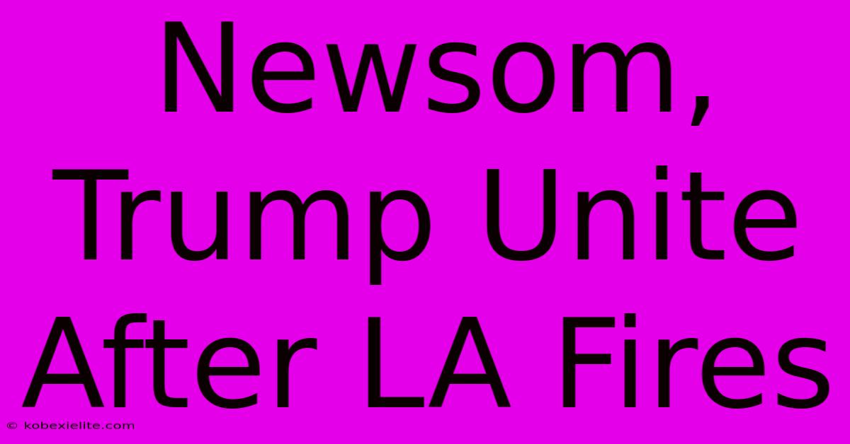 Newsom, Trump Unite After LA Fires