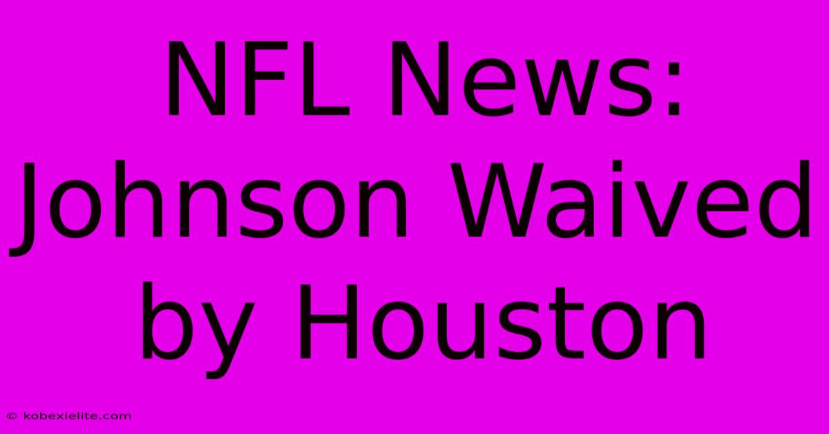 NFL News: Johnson Waived By Houston