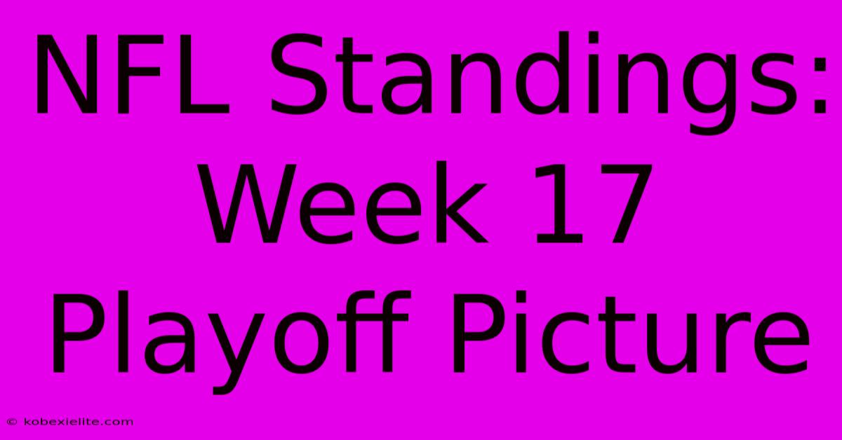 NFL Standings: Week 17 Playoff Picture