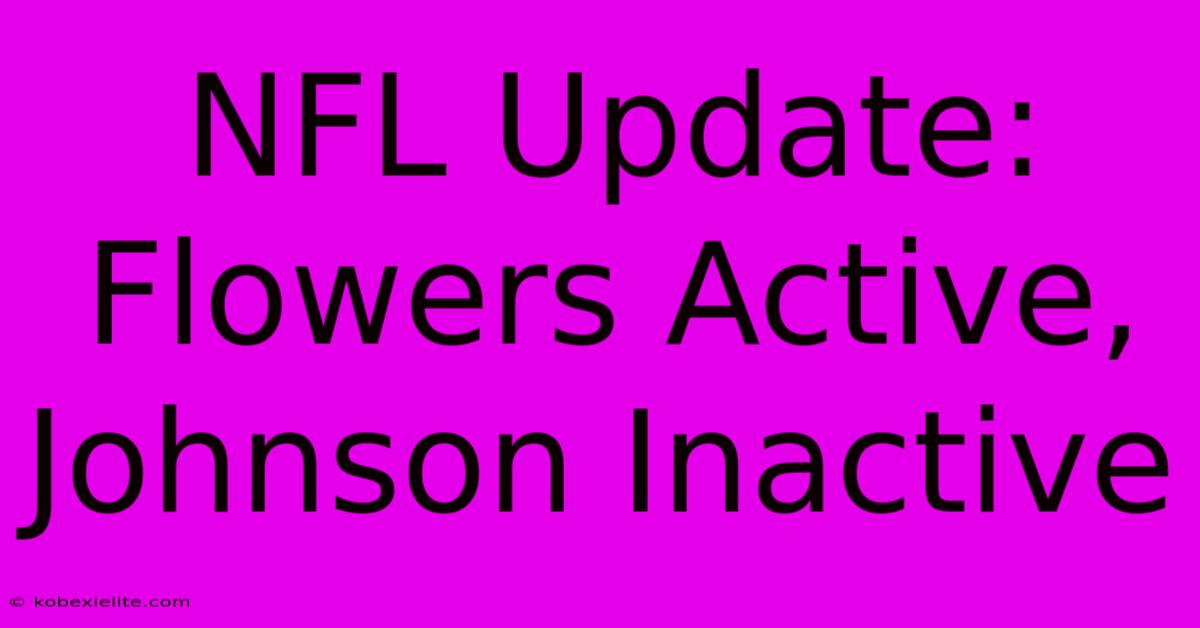 NFL Update: Flowers Active, Johnson Inactive