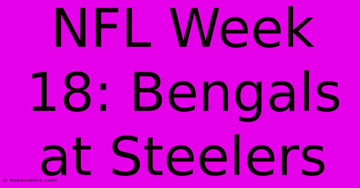 NFL Week 18: Bengals At Steelers