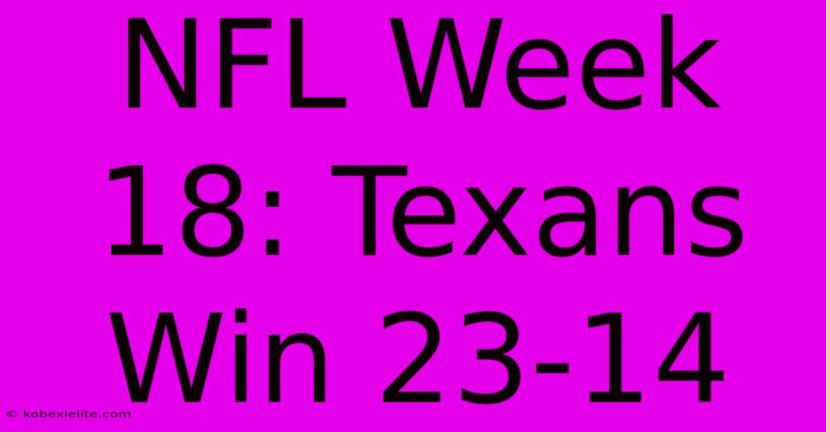 NFL Week 18: Texans Win 23-14