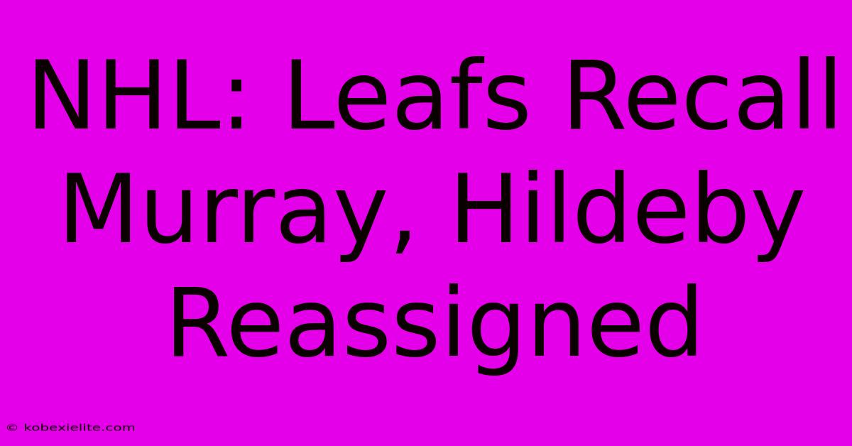 NHL: Leafs Recall Murray, Hildeby Reassigned