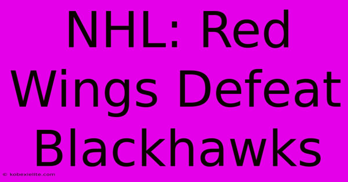 NHL: Red Wings Defeat Blackhawks