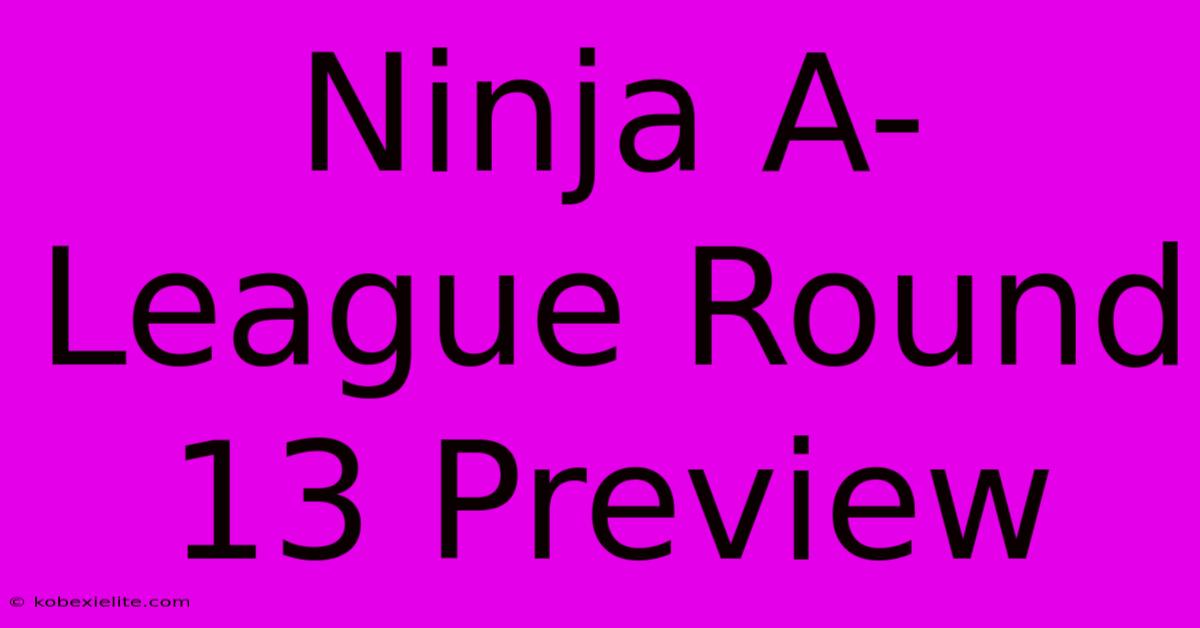 Ninja A-League Round 13 Preview